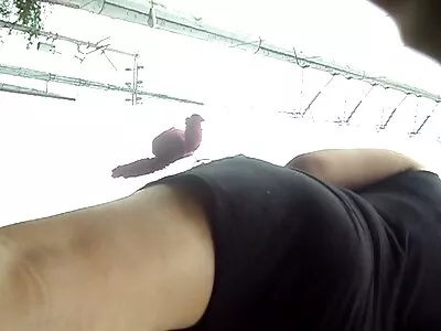 ক্যামের হট সেক্সি বিএফ উপর কিশোর গুদ খেলা